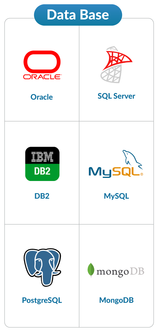 Data Base