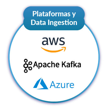 Plataformas y Data Ingestion